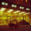 PS5 Stray – Bild 5