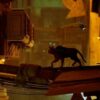 PS5 Stray – Bild 3