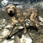 Der fliegende Hund in „The Elder Scrolls V: Skyrim